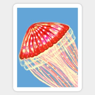 Jellyfish Sticker